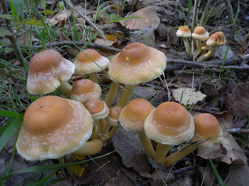 Forse l''ultima bellissima giornata..!!